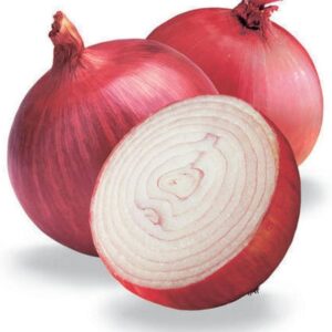 Onion