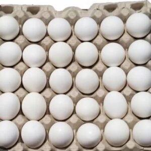 Farm Fresh Eggs 1 Tray