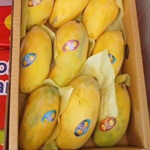 Fresh Pakistani Mango Sindhri