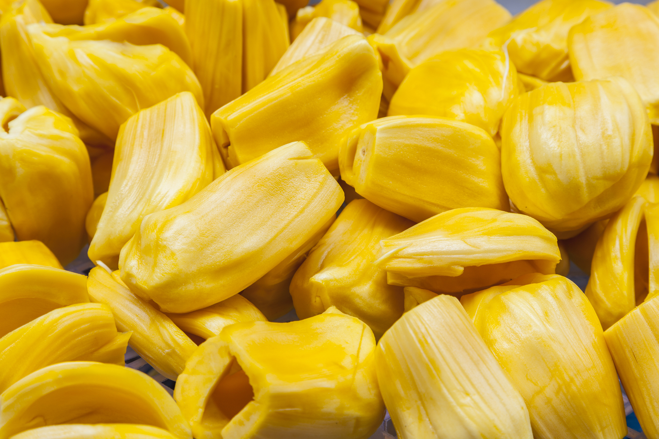 Jackfruit